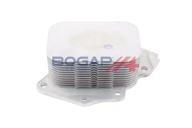 BOGAP P4222101