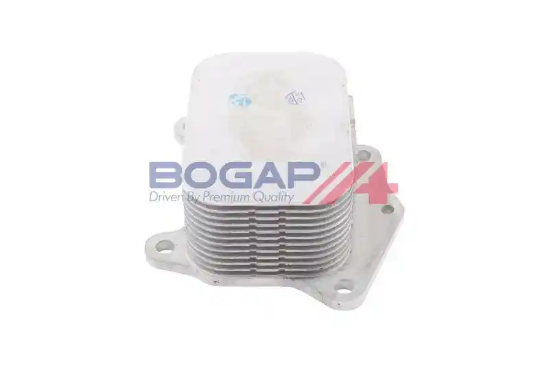 BOGAP P4222101