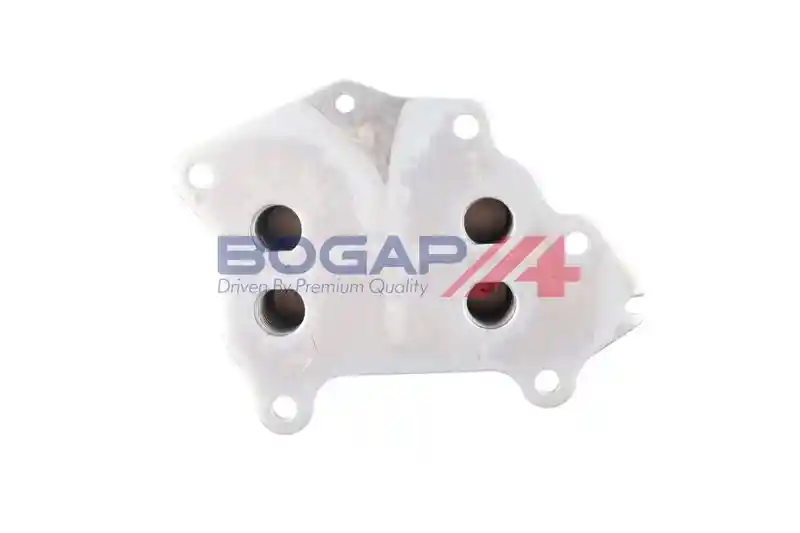 BOGAP P4222101