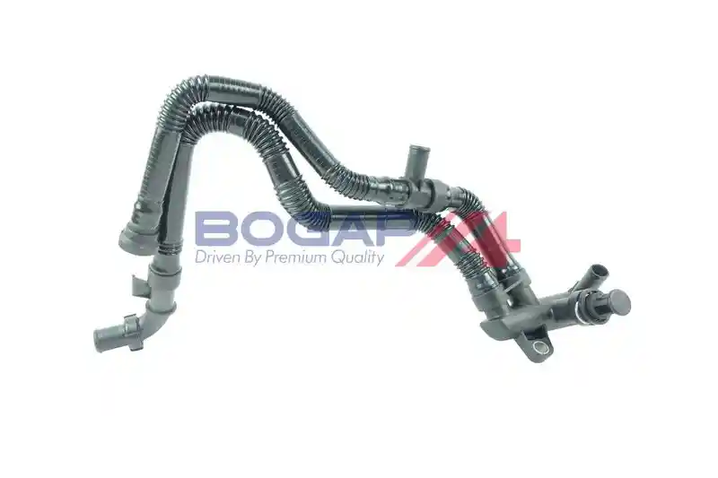 BOGAP P4228100
