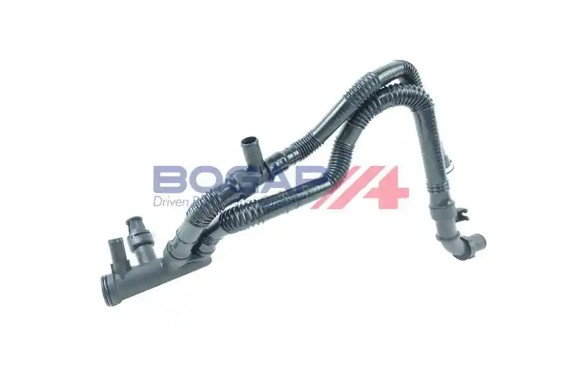 BOGAP P4228100