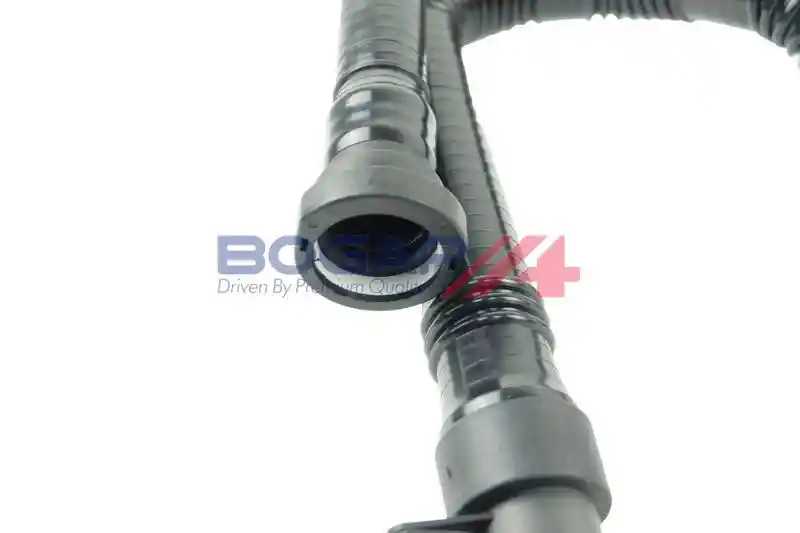 BOGAP P4228100