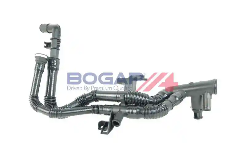 BOGAP P4228101