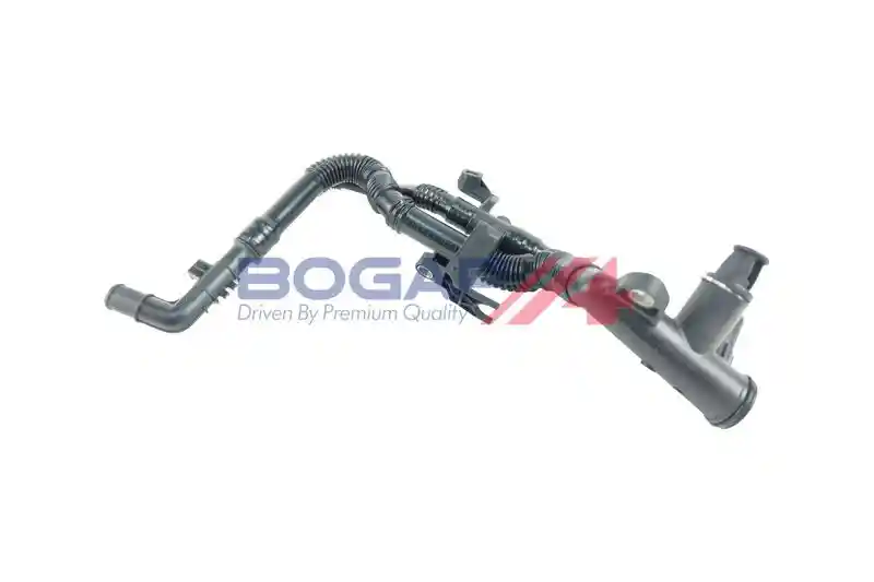BOGAP P4228101