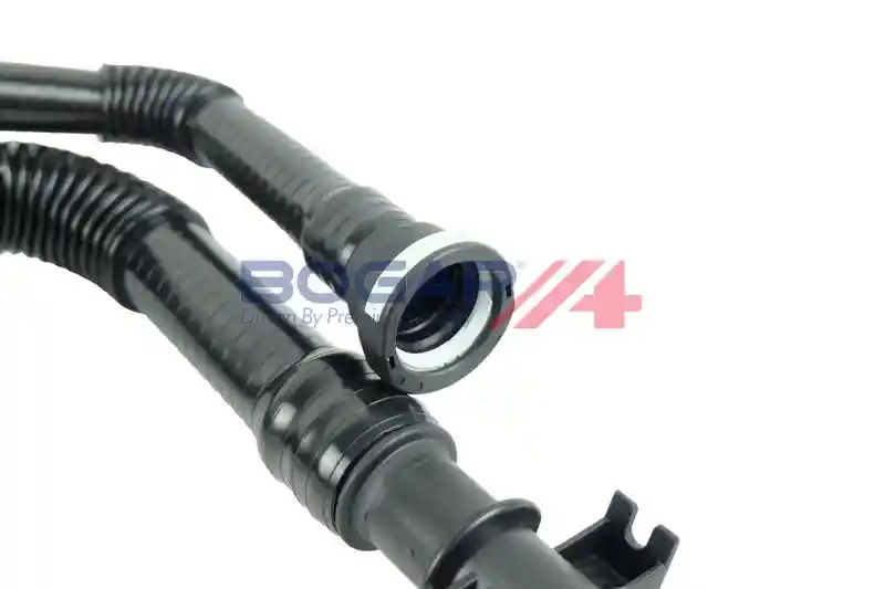 BOGAP P4228101