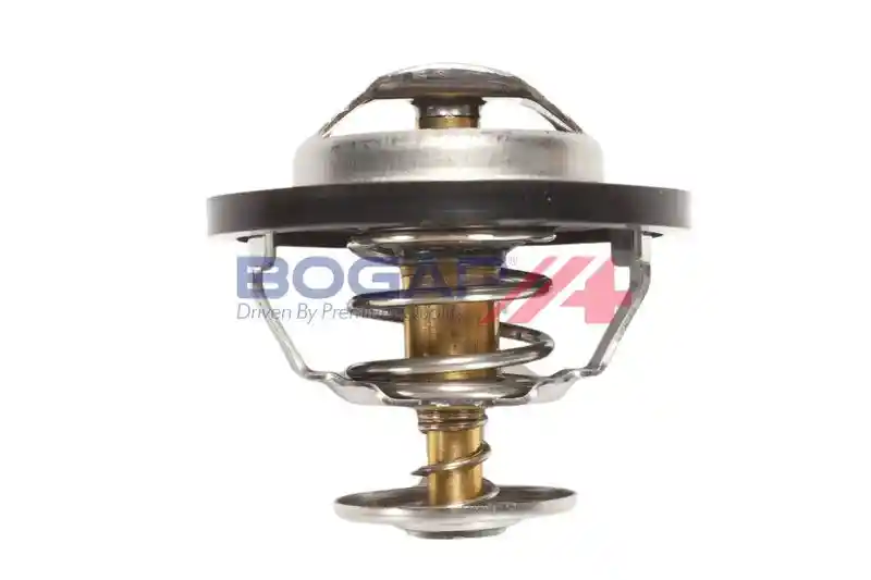 BOGAP P4234116 BOGAP P4234116