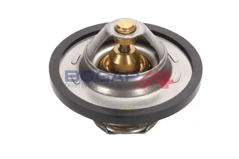 BOGAP P4245100