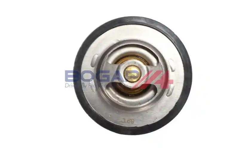 BOGAP P4245100