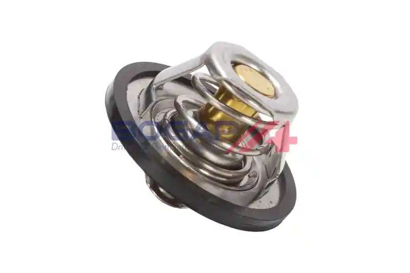 BOGAP P4245100