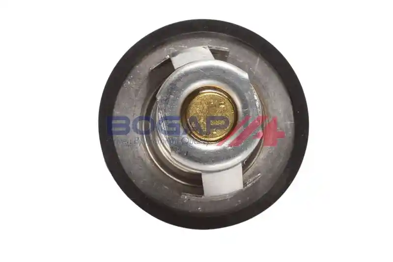 BOGAP P4245100
