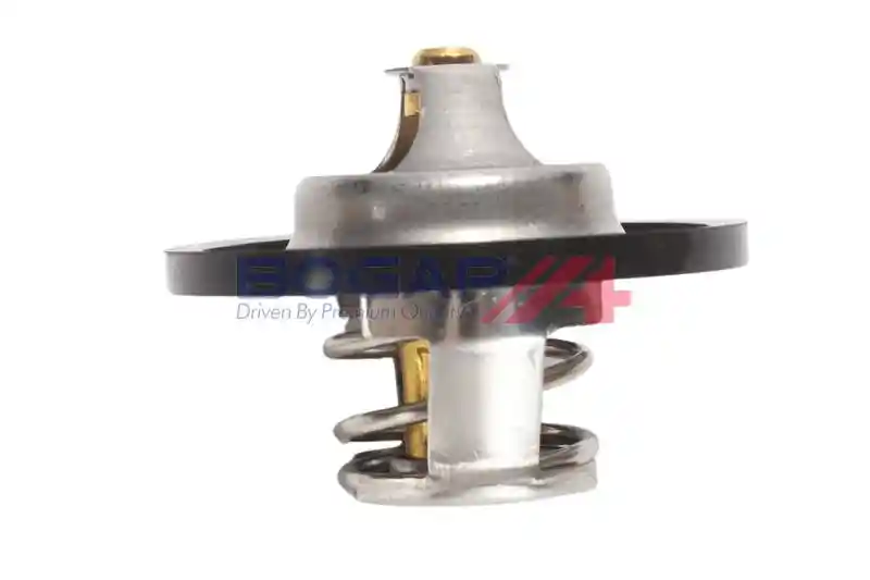 BOGAP P4245100