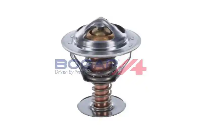 BOGAP P4245109