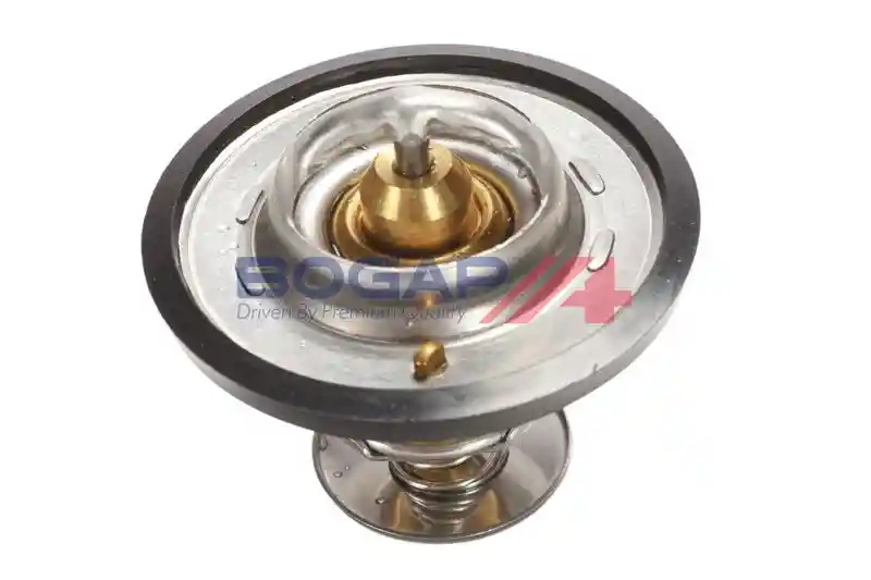 BOGAP P4245115