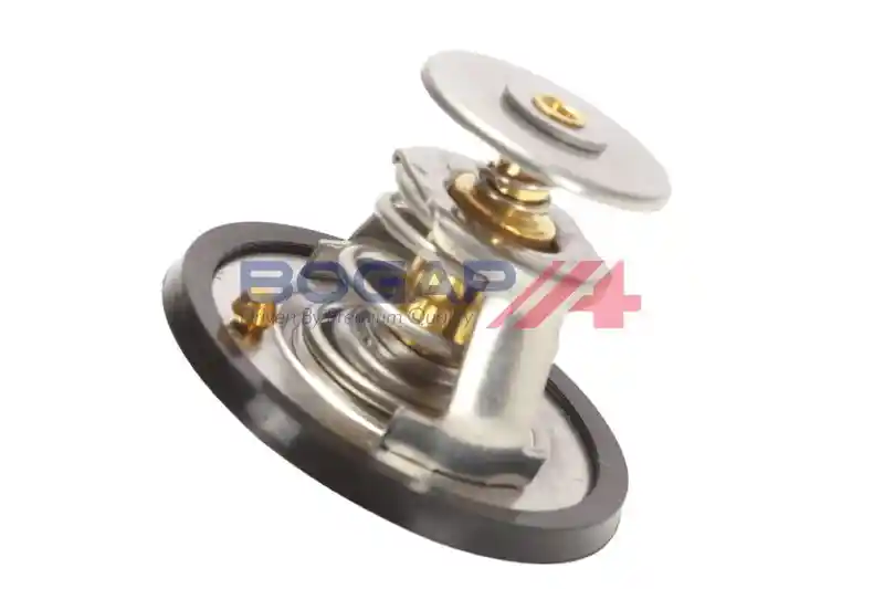 BOGAP P4245115