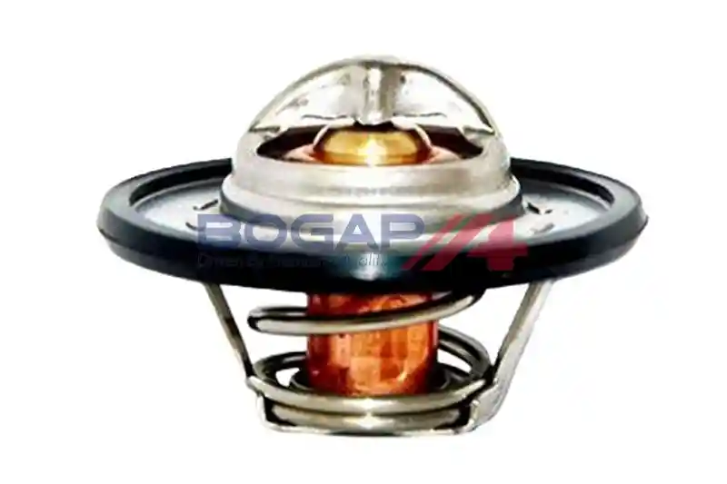 BOGAP P4245117