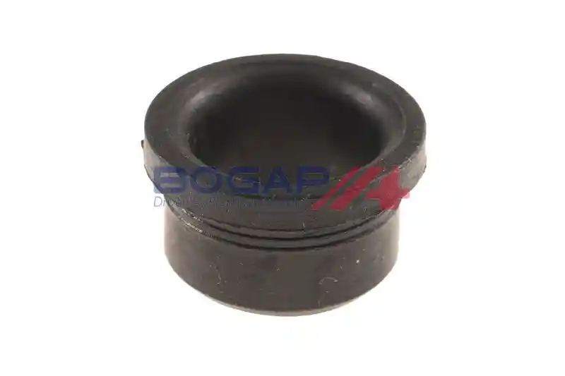 BOGAP P5521100