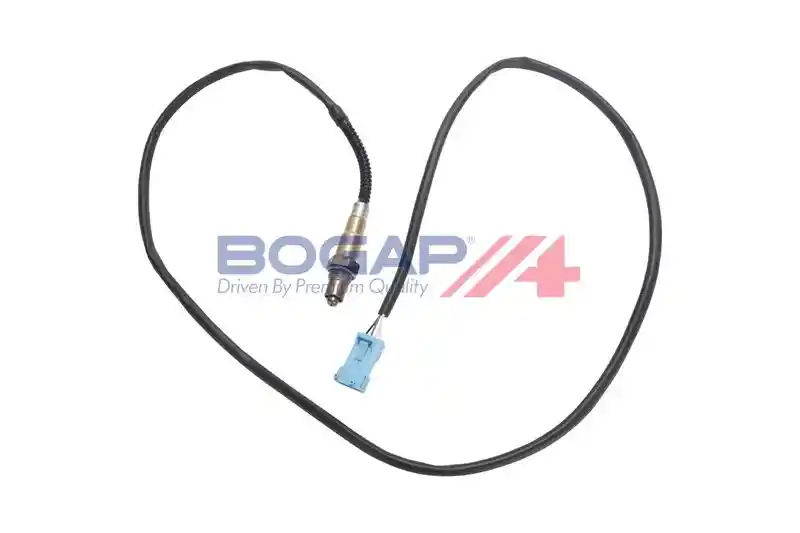 BOGAP P6119101