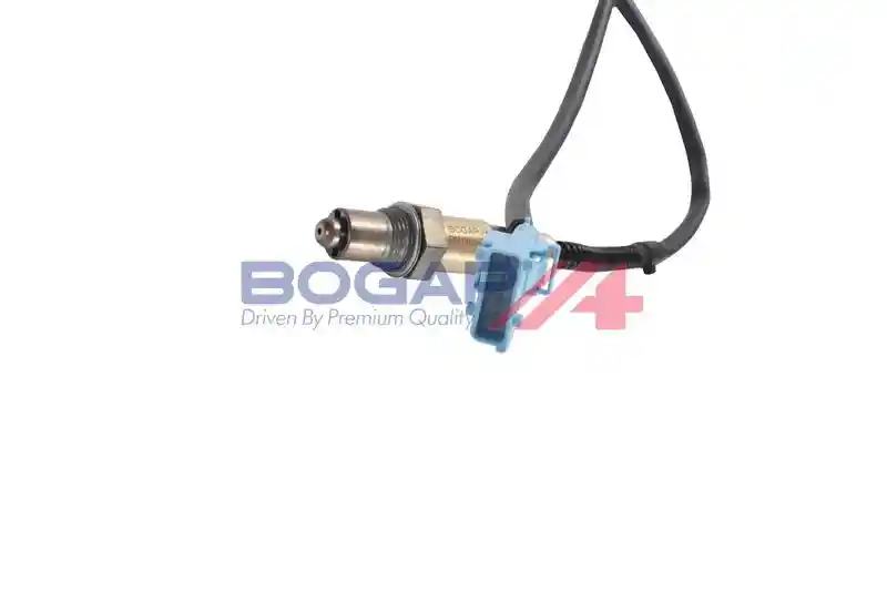 BOGAP P6119101
