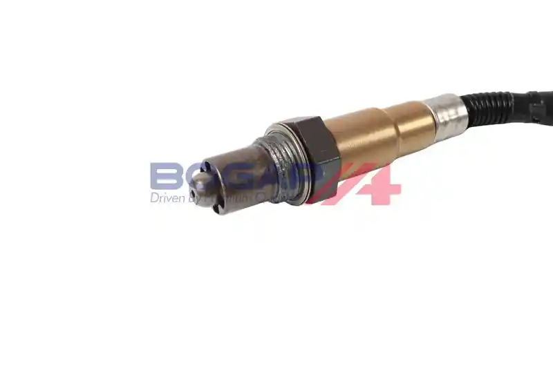 BOGAP P6119102