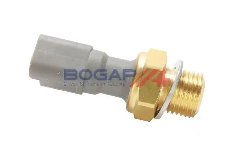 BOGAP P6123101