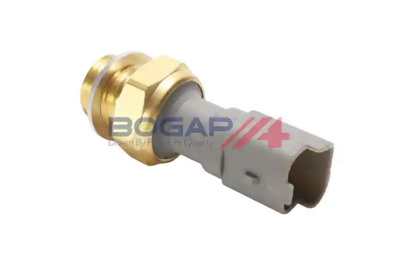 BOGAP P6123101