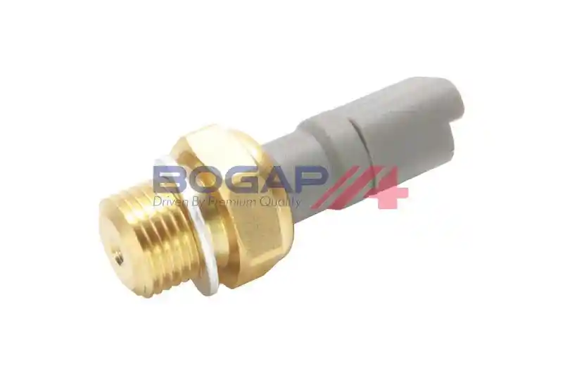 BOGAP P6123101