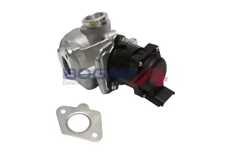 BOGAP P6320102