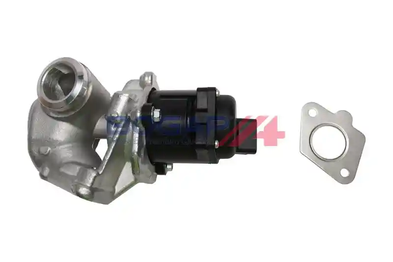 BOGAP P6320102