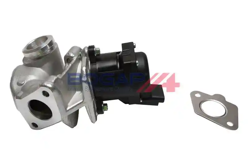 BOGAP P6320102
