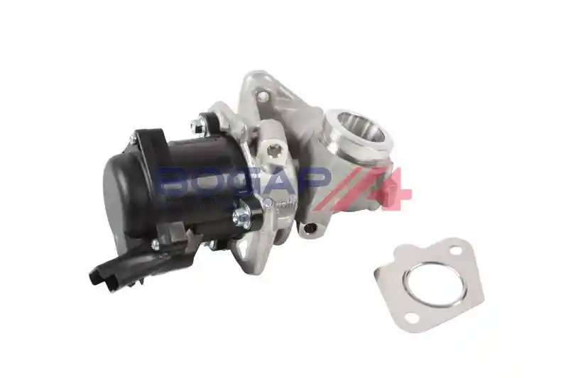 BOGAP P6320105