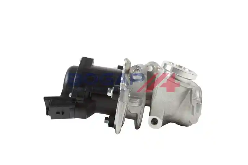 BOGAP P6320105