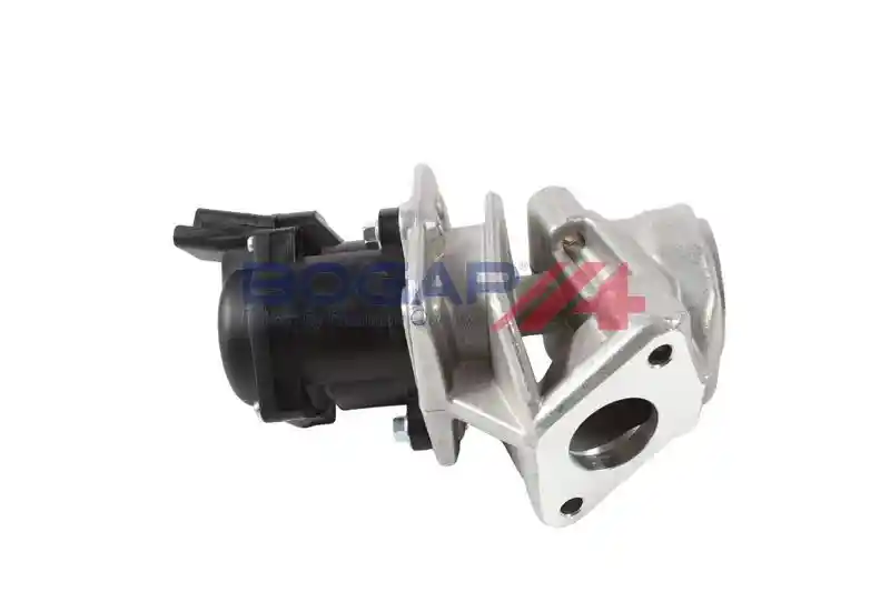 BOGAP P6320105