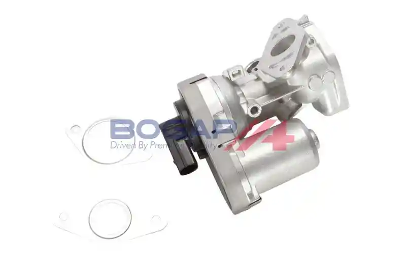 BOGAP P6320107
