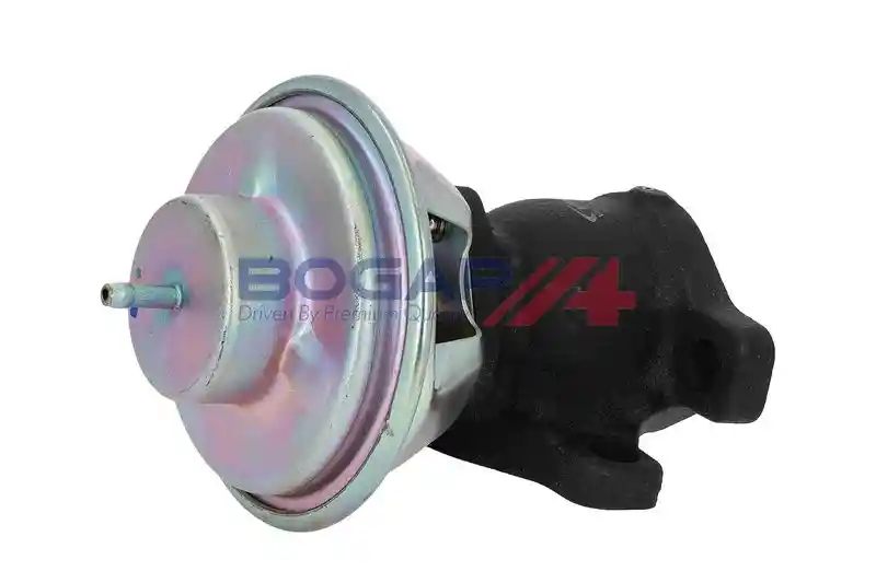 BOGAP P6320121