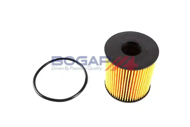 BOGAP P8113102