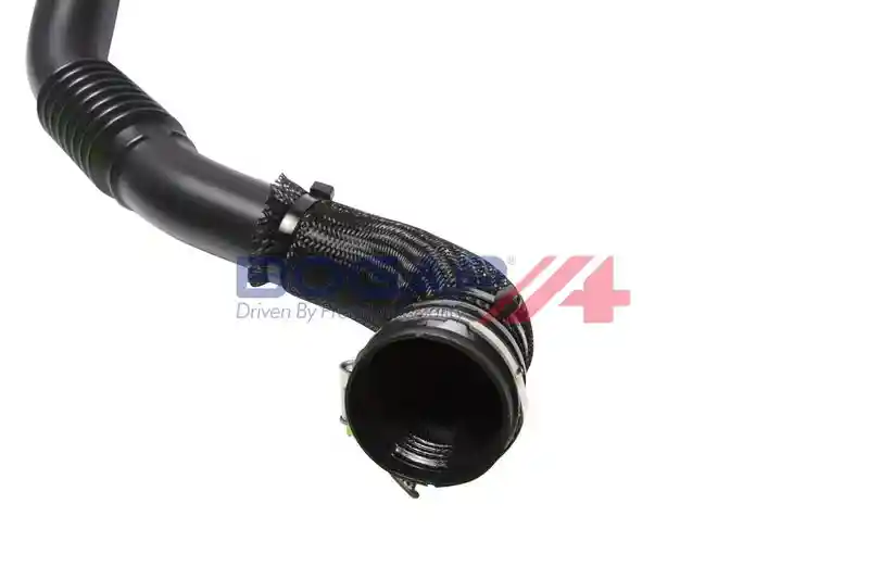 BOGAP R1711155