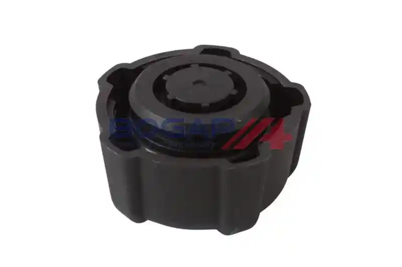 BOGAP R4211100 BOGAP R4211100