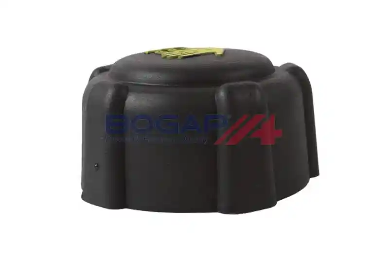 BOGAP R4211100 BOGAP R4211100