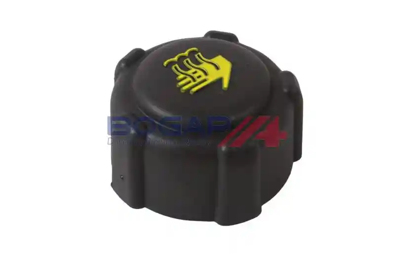 BOGAP R4211100 BOGAP R4211100