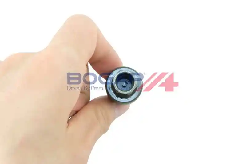 BOGAP R4217100