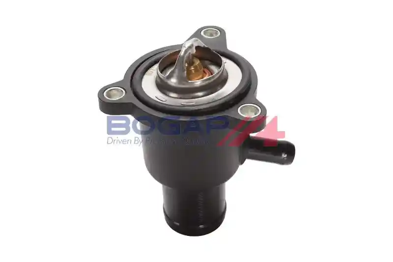 BOGAP R4245101