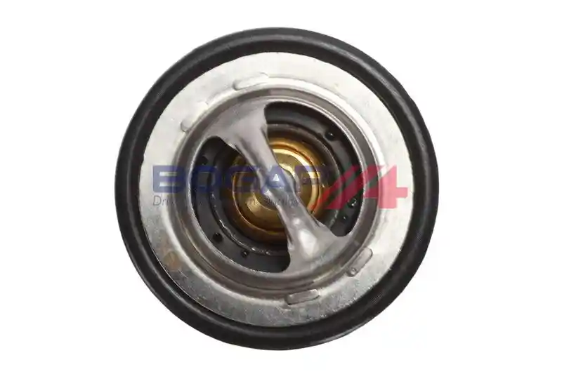 BOGAP R4245125