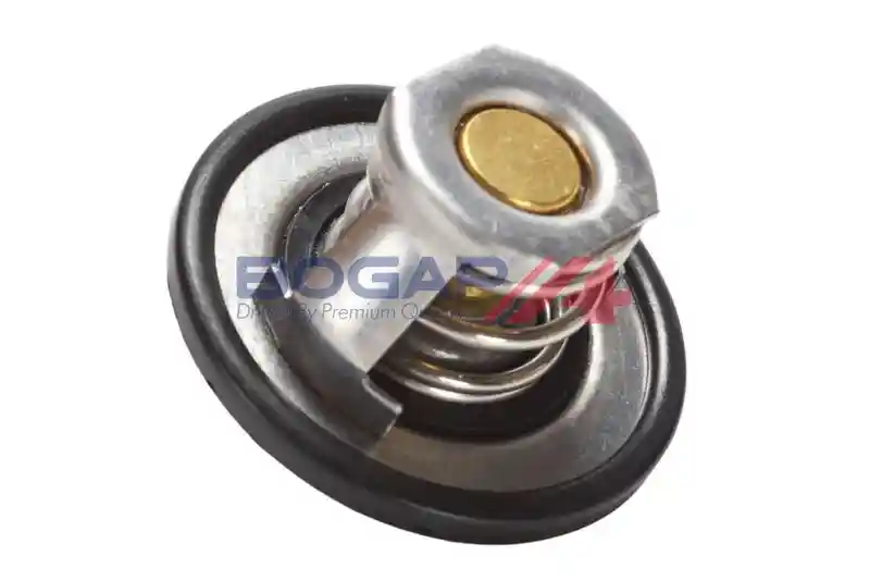 BOGAP R4245125