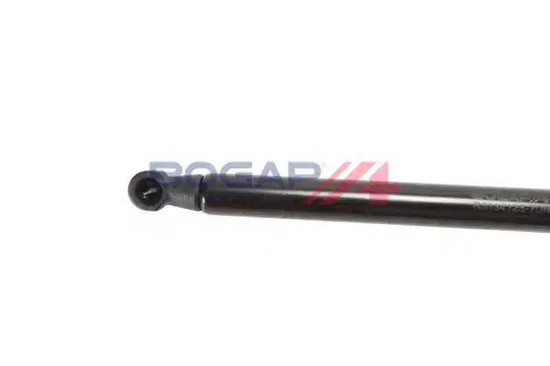 BOGAP R5134123