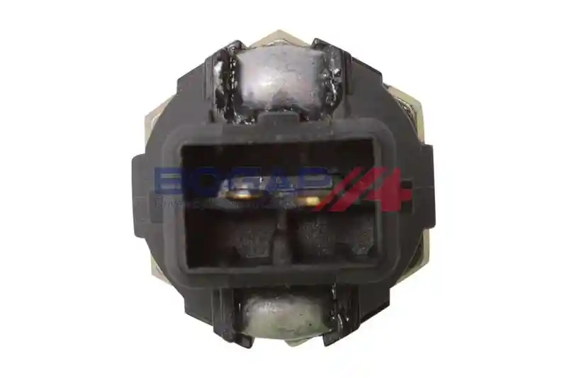 BOGAP R6113101