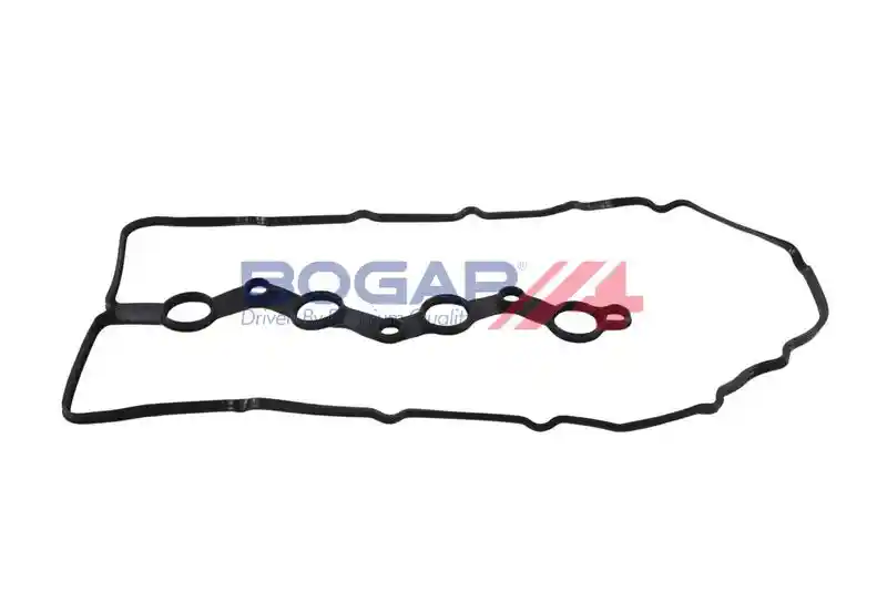 BOGAP S1118100