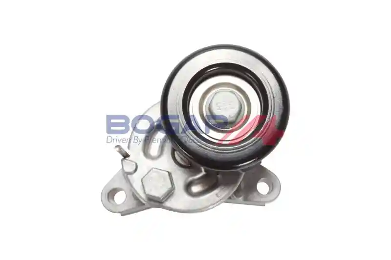 BOGAP S1317102 BOGAP S1317102