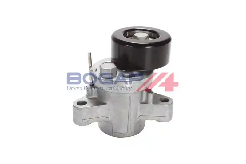BOGAP S1317102 BOGAP S1317102