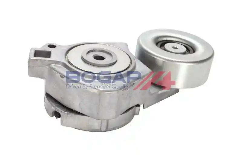 BOGAP S1317103