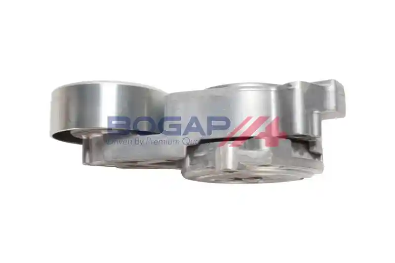 BOGAP S1317103